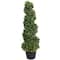 Ashland; 37" Spiral Boxwood UV Resistant Topiary by Ashland®; Category:Potted Plants; Image:2